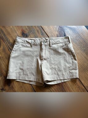 Patagonia Shorts